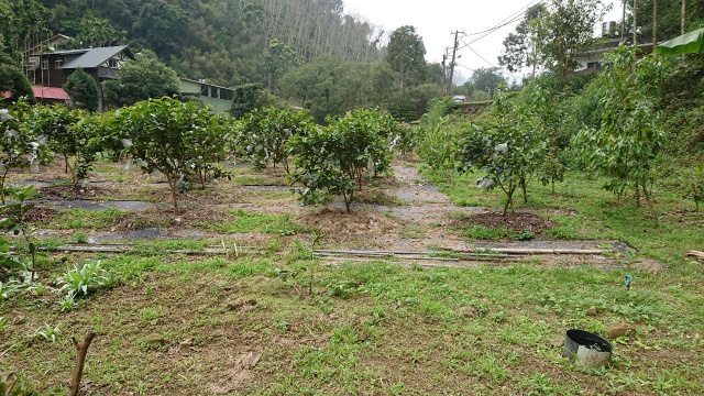 北埔冷泉臨溪露營美地