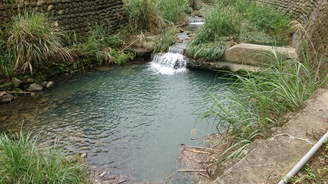 北埔冷泉臨溪露營美地