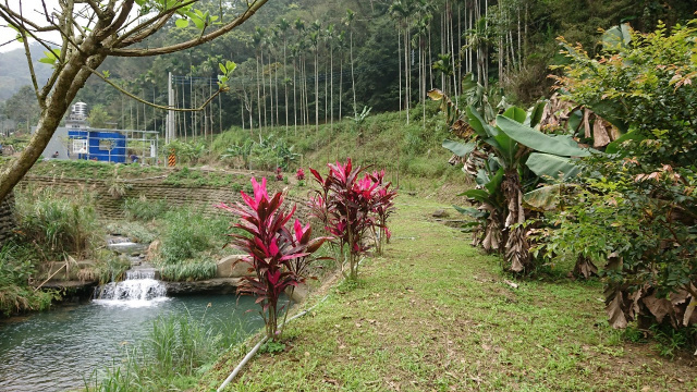 北埔冷泉臨溪露營美地