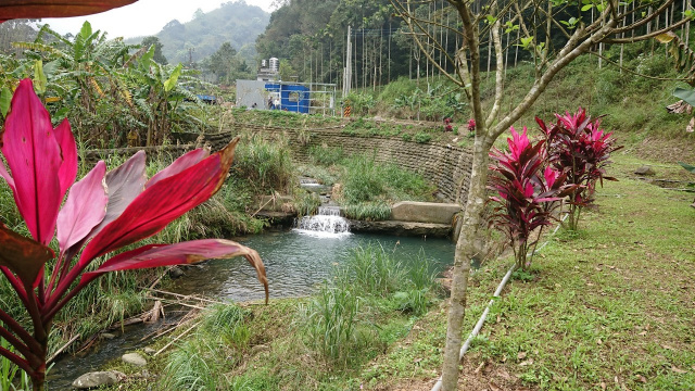 北埔冷泉臨溪露營美地