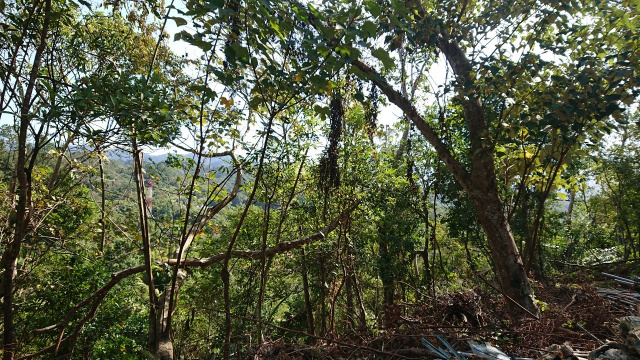 橫山近台三線休閒地-B