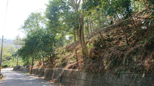 橫山近台三線休閒地-B