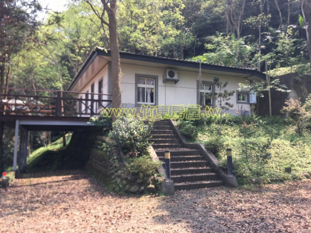 大山背景觀屋-綠森林