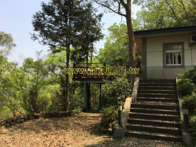 大山背景觀屋-綠森林