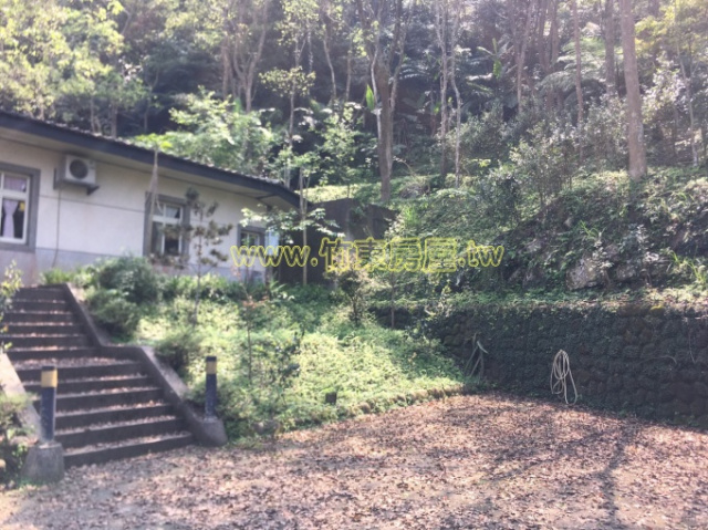 大山背景觀屋-綠森林