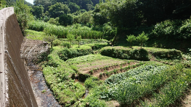 竹東大鄉便宜農地
