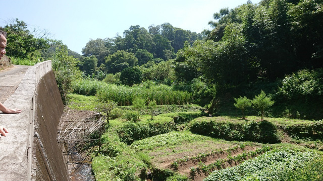 竹東大鄉便宜農地