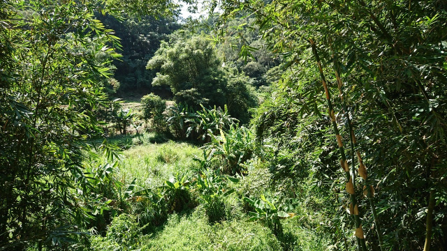 竹東大鄉便宜農地