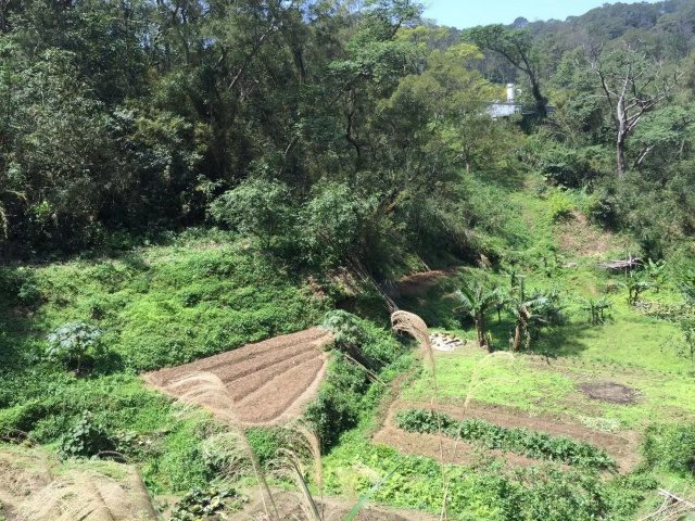 竹東大鄉便宜農地