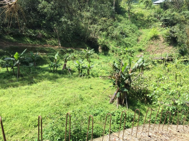 竹東大鄉便宜農地