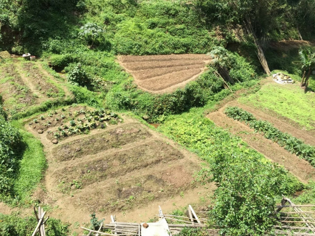 竹東大鄉便宜農地