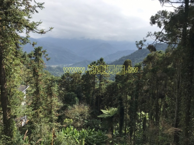 視野鹿鳴山莊美地
