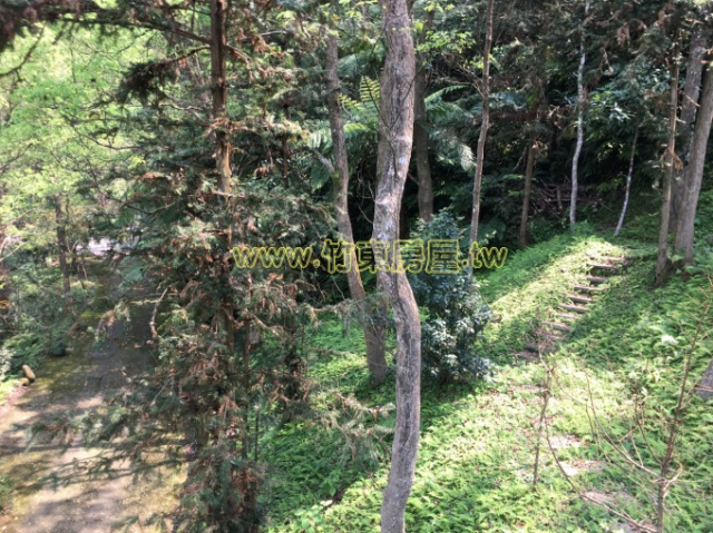 視野鹿鳴山莊美地