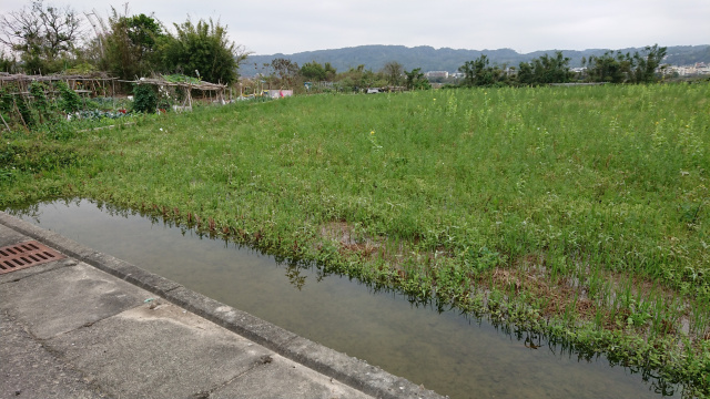 竹東公道五田