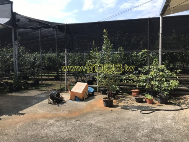 芎林倉儲地(正臨富林路)