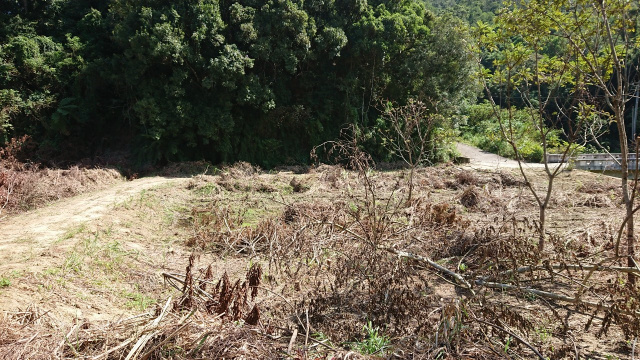 寶山休閒農莊美地