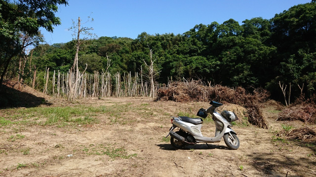 寶山休閒農莊美地