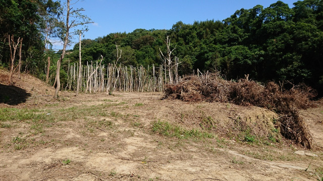 寶山休閒農莊美地