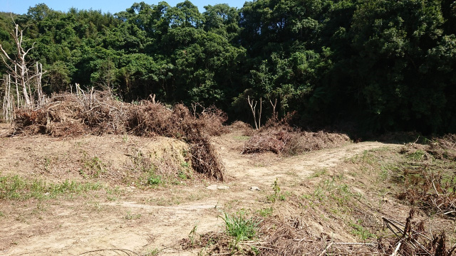 寶山休閒農莊美地