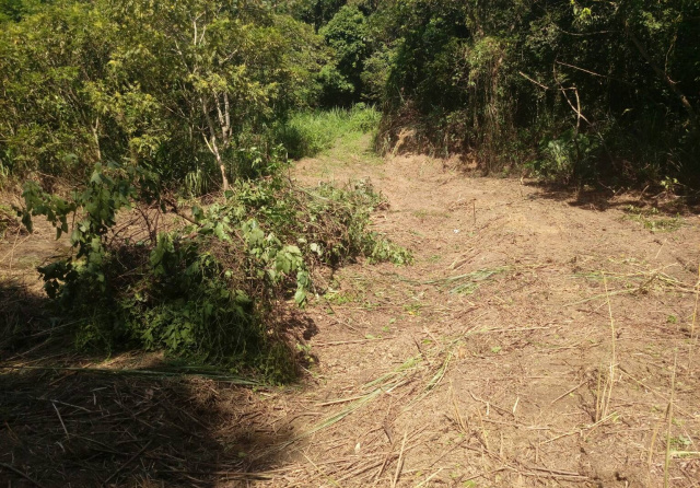 寶山休閒農莊美地