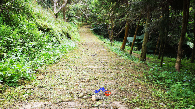 竹東五指山休閒莊園附合法農舍