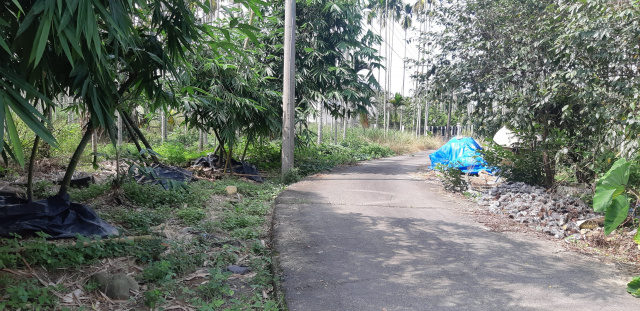 坪頂農建地