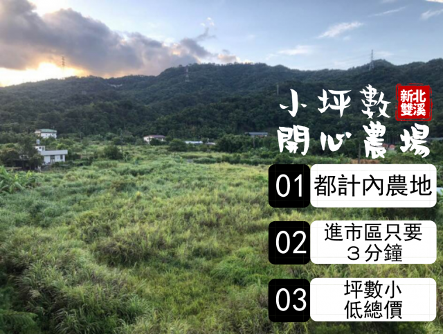 新北雙溪區500坪開心農場