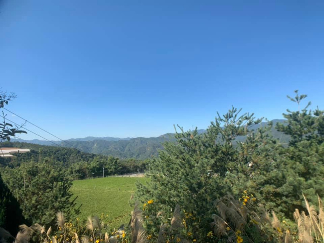 大坪頂雙子星農地