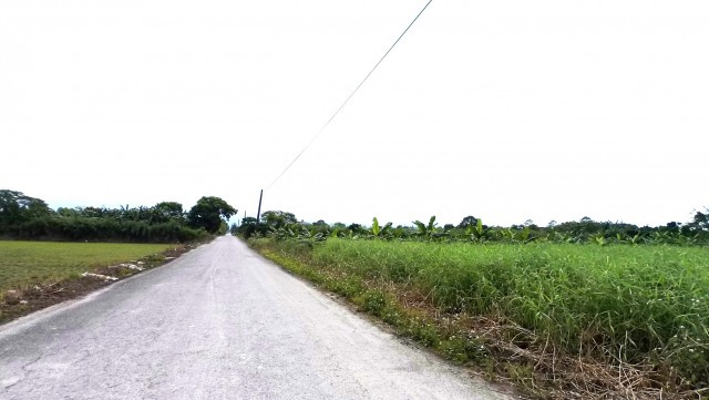 豐田車站美農地
