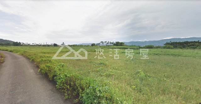 壽豐樂活農地
