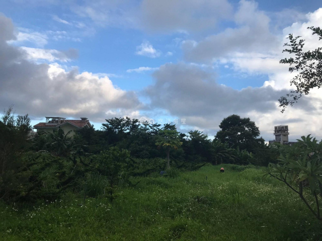 中央農地