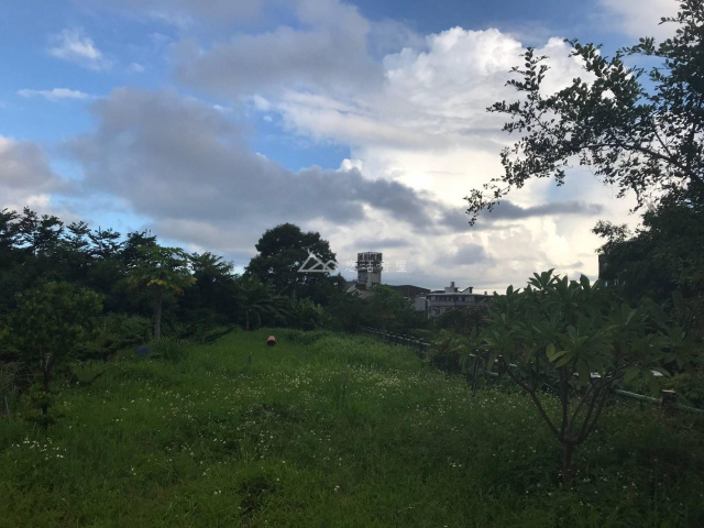 中央農地