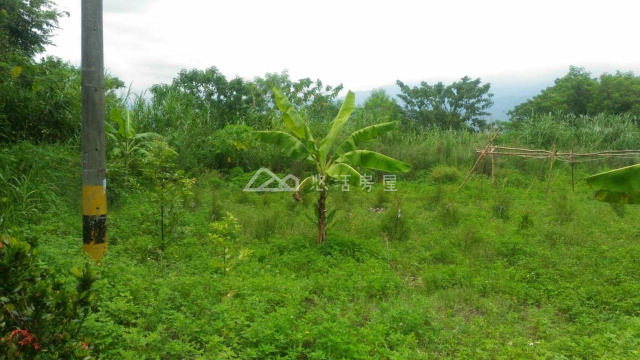 月眉財神廟招財進寶農地