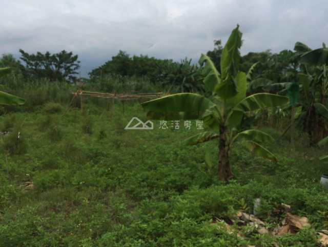 月眉財神廟招財進寶農地