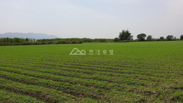 大平有機四甲地