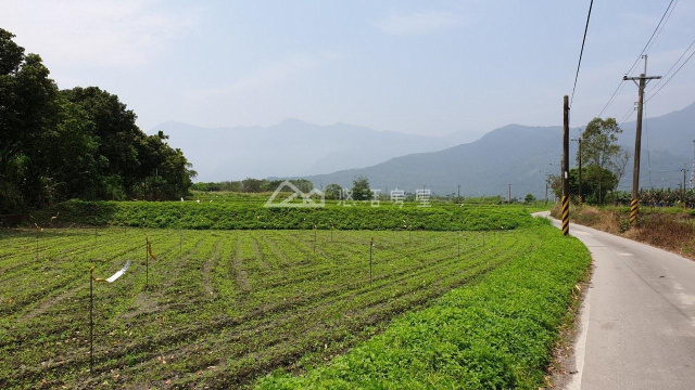 大平有機四甲地
