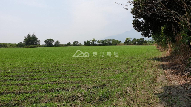 大平有機四甲地