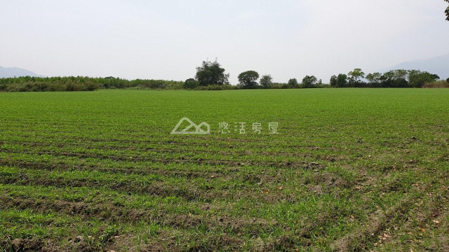 大平有機四甲地