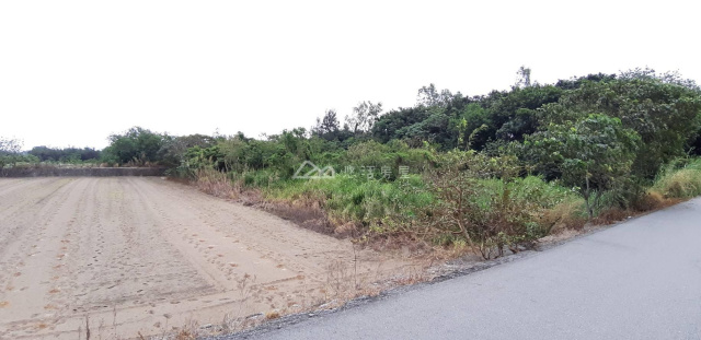 新城海岸第一線農地