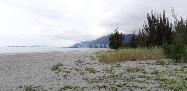 新城海岸第一線農地