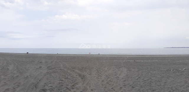新城海岸第一線農地