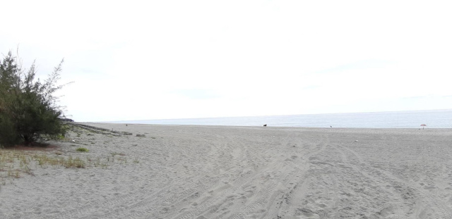新城海岸第一線農地