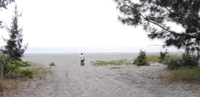 新城海岸第一線農地