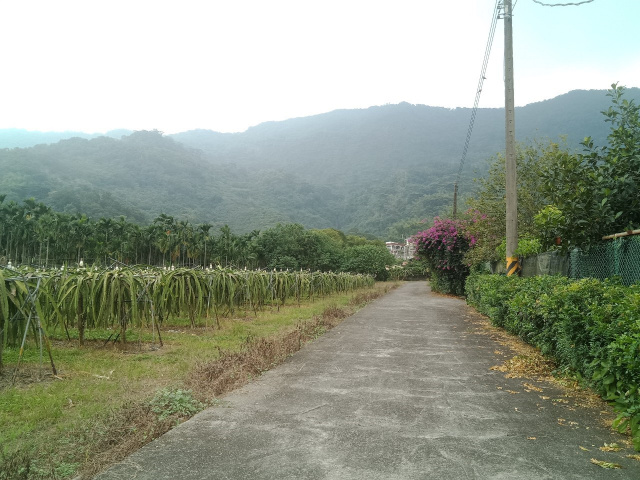 笠頂山休閒農地