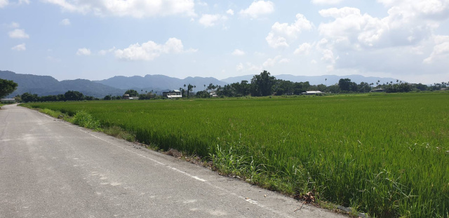 花蓮鳳林大榮農地