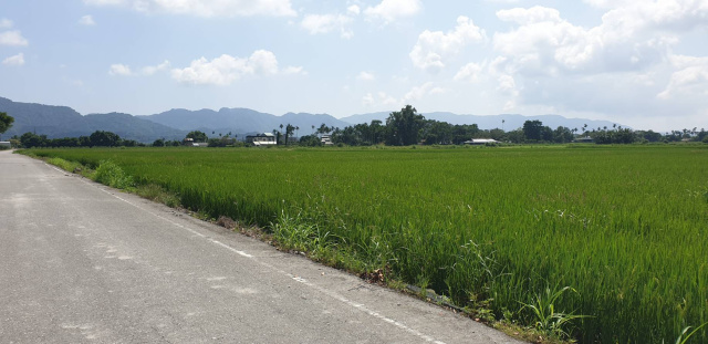 花蓮鳳林大榮農地