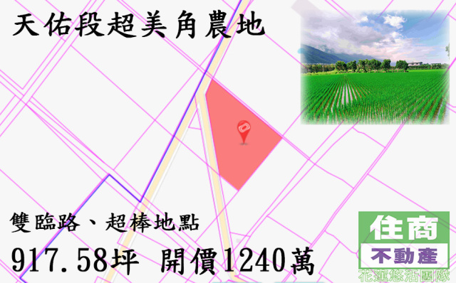 花蓮新城美景農地