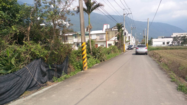 花蓮新城北埔樂活小農地