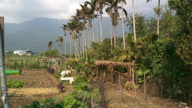 花蓮新城北埔樂活小農地