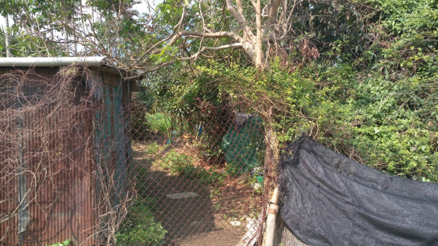 花蓮新城北埔樂活小農地